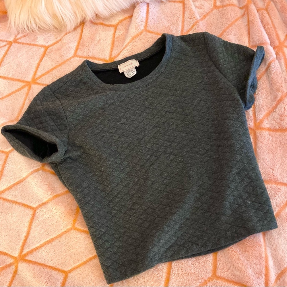 Gray cropped tshirt
